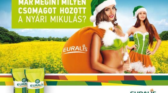 Repcetermesztés jövedelmezően Euralis hibridekkel