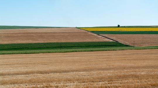 Nem tudja tovább fizetni hitelét a mamut agrárvállalkozás
