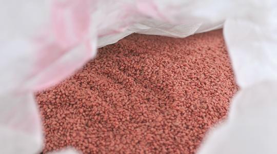 Védelem az első naptól – a Bayer csávával sose kerül csávába