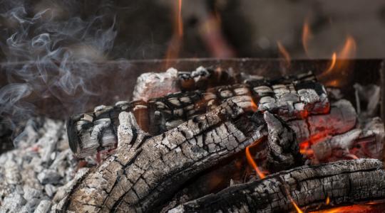 Éhínség – a megoldás 700 éve az orrunk előtt van