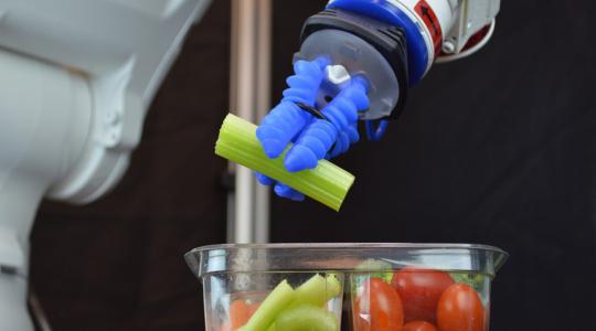 Újabb robotgazda veheti le a gazdák válláról a terhet