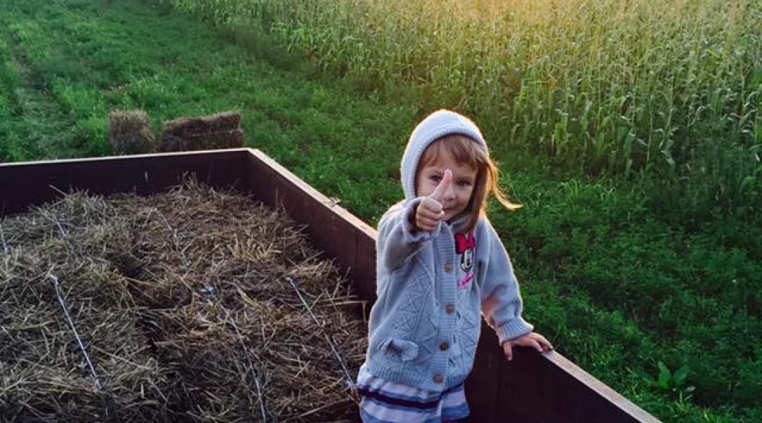 5 legfontosabb tudnivaló a Fiatal Gazda Pályázathoz (Új információk!)