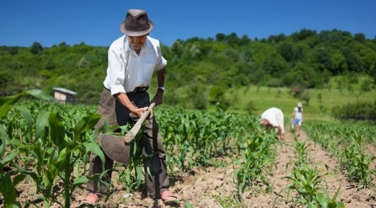 Tiltakoznak az agrártermelők a külföldiek földvásárlása ellen