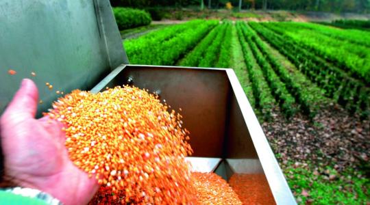 Biztos indítás az első két évben Agroblennel!