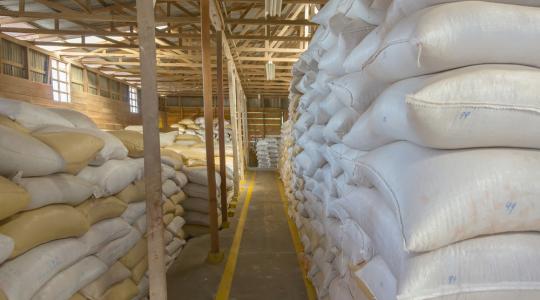 Az európai búzaexportőrök profitálhatnak az euró alacsony árfolyamából 