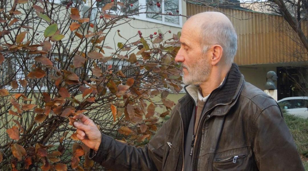 A legfőbb védekezés jó erőben tartani a növényeket 