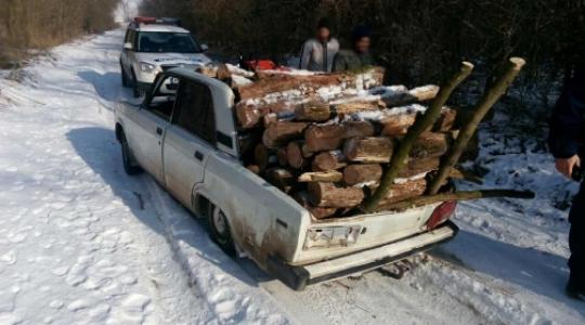 Rendszám nélküli autóval lopták a fát 