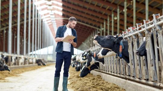 Továbbra is erőteljes beruházási kedv és óvatos bizakodás jellemzi az agrárvállalkozásokat