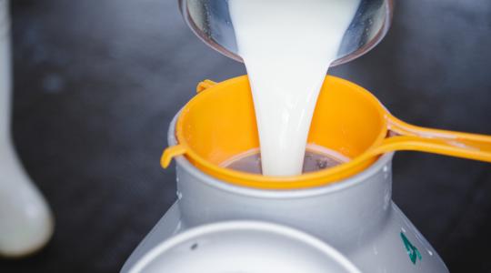 A tejszektor a támogatásoktól függ, a hazai fogyasztást kéne emelni