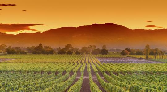Izgalmas feltörekvő vállalkozások a Globális Agri-Tech Demónapon