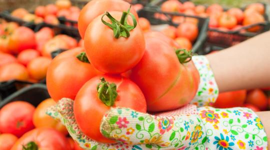 Folyamatosan nő a kereslet a biotermékekre 