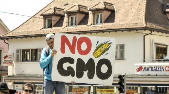 A Monsanto a vádlottak padján, a vád: emberiség elleni bűntett