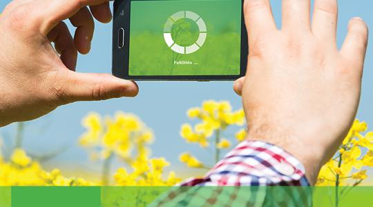 Napsütésben, esőben vagy hóesésben – vajon az Ön repcéje a legszebb a vidéken?