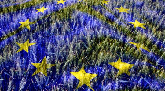 COPA-COGECA: Ne vegyék el a mezőgazdaságtól a pénzt!