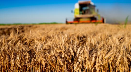 Nem a megfelelő célokra fordítják az agrártámogatásokat