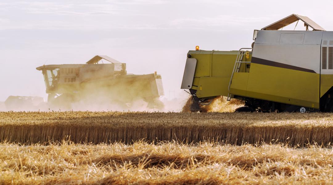 Merre tart a hazai agribusiness? Szakmai Nap az OMÉK-on