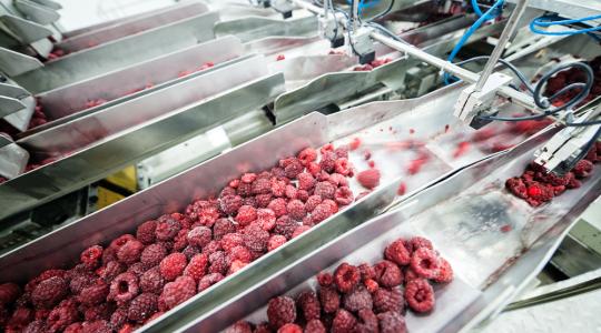 Változtatni kell, hogy a magyar agrártermékek versenyképesek maradjanak