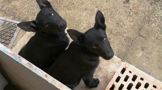 Téli teendők a telep és az istálló körül