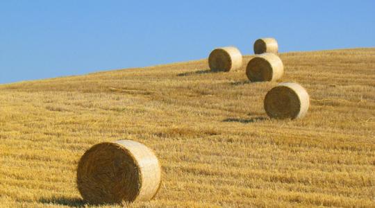 Nufarmer magazin – Ingyenesen letölthető szakmai kiadvány 