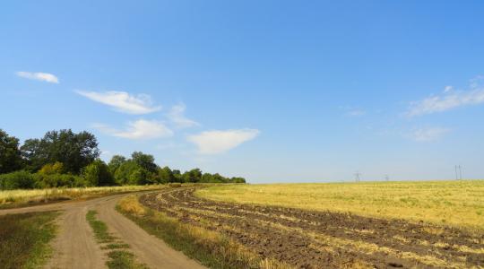 Büntetőadó a föld elhanyagolásáért?