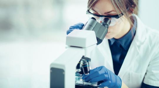 Húselőállítás laboratóriumban