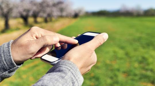 Megérkezett a telefonszám-hitelesítés az Agroinformra. Nézze meg, hogyan!