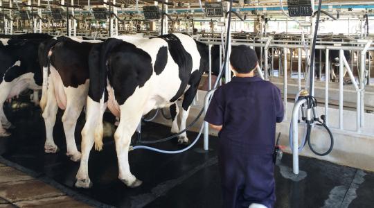 A kereskedők a termelőket hibáztatják az agrárválságok kialakulásáért