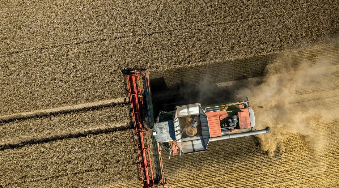 2050-ben hatalmas éhínség fog pusztítani