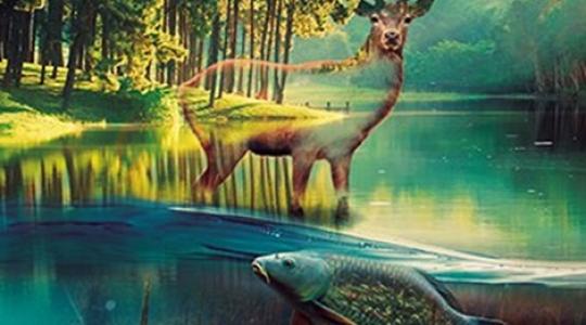 Közeledik a 25. Fegyver, horgászat, vadászat nemzetközi kiállítás