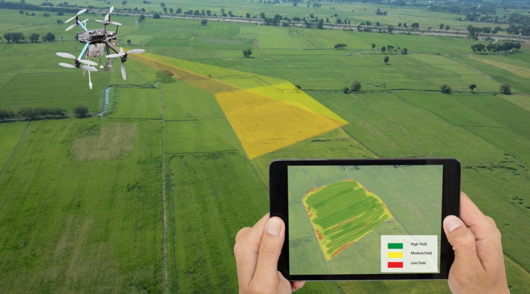 Hello Modern Agrárium – megmutatják, milyen innovatív lett az agrár-felsőoktatás