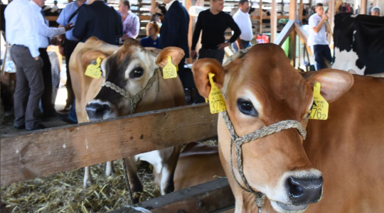 Farmer Expo 2018