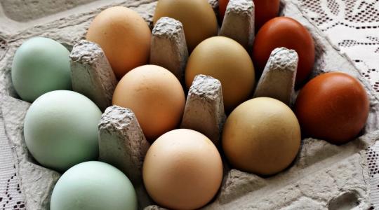Keltetés, tojásfestés, hagyományőrzés – érdekes cikkek húsvétra! Keltetés, tojásfestés, hagyományőrzés – érdekes cikkek húsvétra!