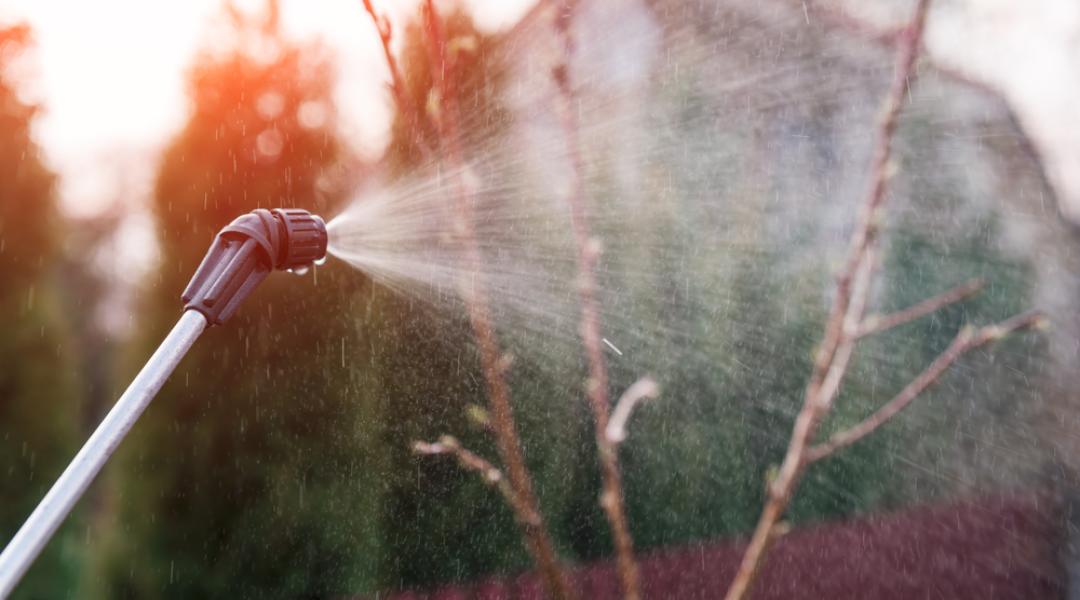 Jó tanácsok a tavaszi lemosó permetezéshez