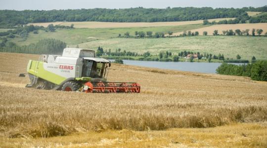 Búzából és árpából kevesebb, kukoricából több lehet az idei termés