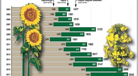 Termésmennyiségek alakulása Magyarországon 2004-2017