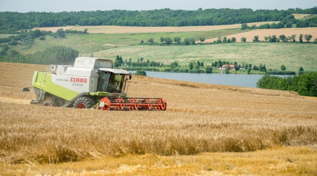 Nem tettek jót a viharok a gabonának – terméseredmények Zalából