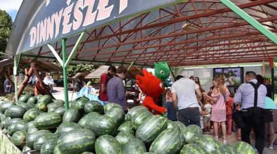 Árharc a dinnyetermelők között