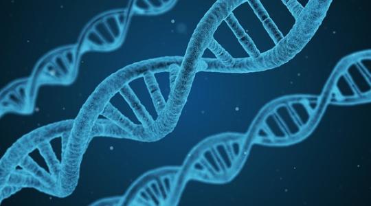 Az uniós bíróság GMO-nak minősítette az új génszerkesztési technológiákat is 