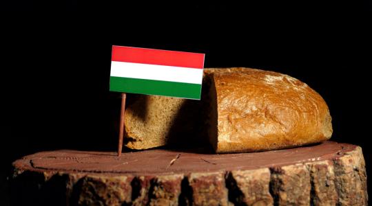 Magyarok kenyere: Összeöntötték a Kárpát-medencei magyar gazdák által gyűjtött búzát Kárpátalján
