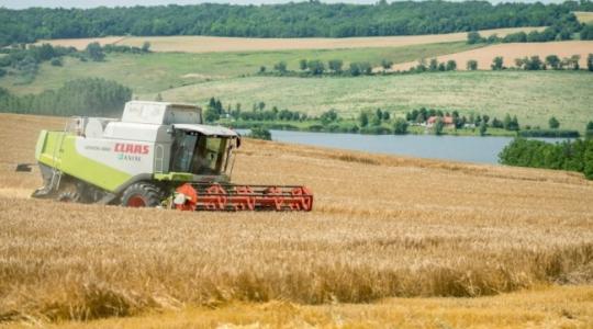 Befejeződött az őszi búza aratása, 4,84 millió tonna termett idén