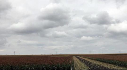 Záporok, zivatarok még megakaszthatják a munkát