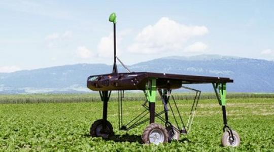 Gyomirtó robot a vegyszerfelhasználás csökkentéséért