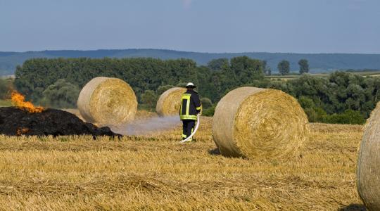 Több mint kétezer szalmabála lángolt Makónál