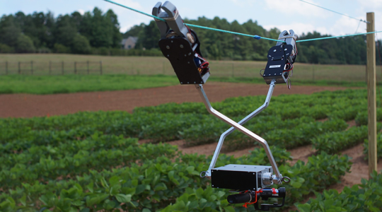 Lajhárról mintázták a gyümölcsszedő robotot
