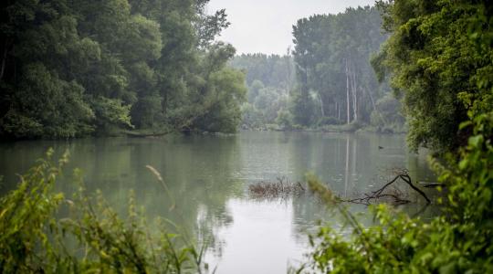 A vízgazdálkodási műveket méri fel a kamara falugazdász-hálózata