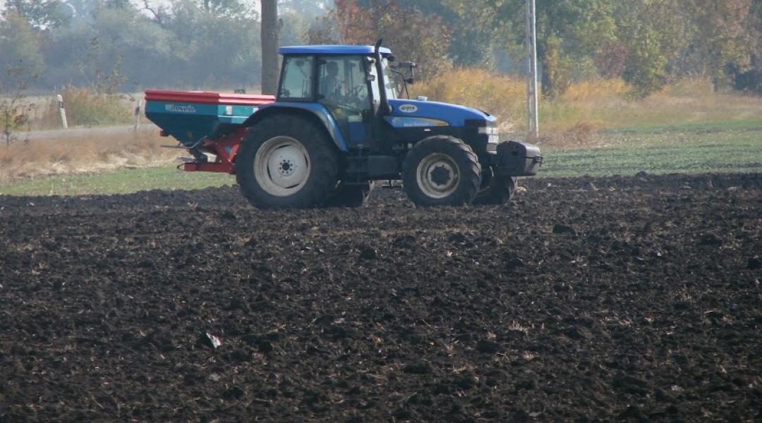 Tápanyagok megosztása és a tápanyagpótlás időzítése a szabadföldi zöldségtermesztésben 