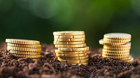 Mérsékli a járulékfizető kisvállalkozások terheit az Erste Bank