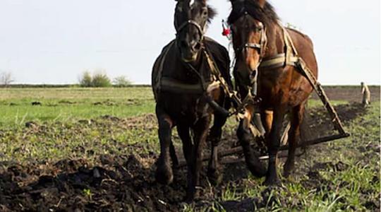 Ilyenek voltak az őszi szántóföldi munkák a gépek előtt