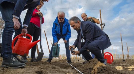 Újjáélesztik a magyar komlótermesztést