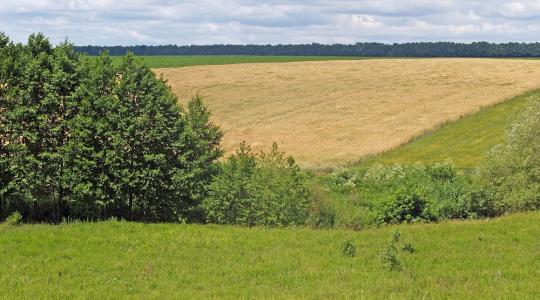 Könnyített zöldítés: ezek fognak változni